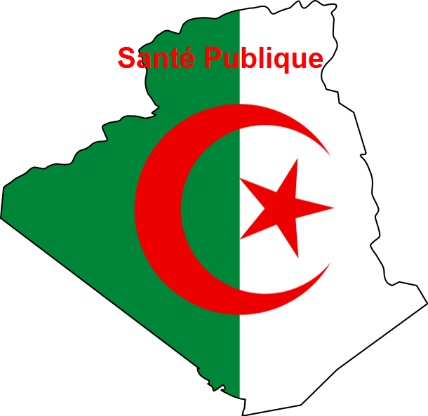 drapeau algérie 2